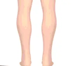 Image Title Alt Image